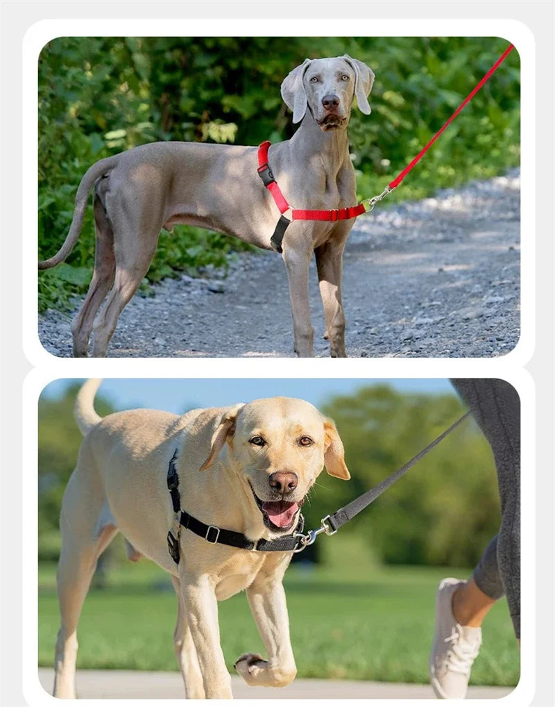 Nylonový postroj pro psy – nastavitelný, anti-únik, všechny velikosti