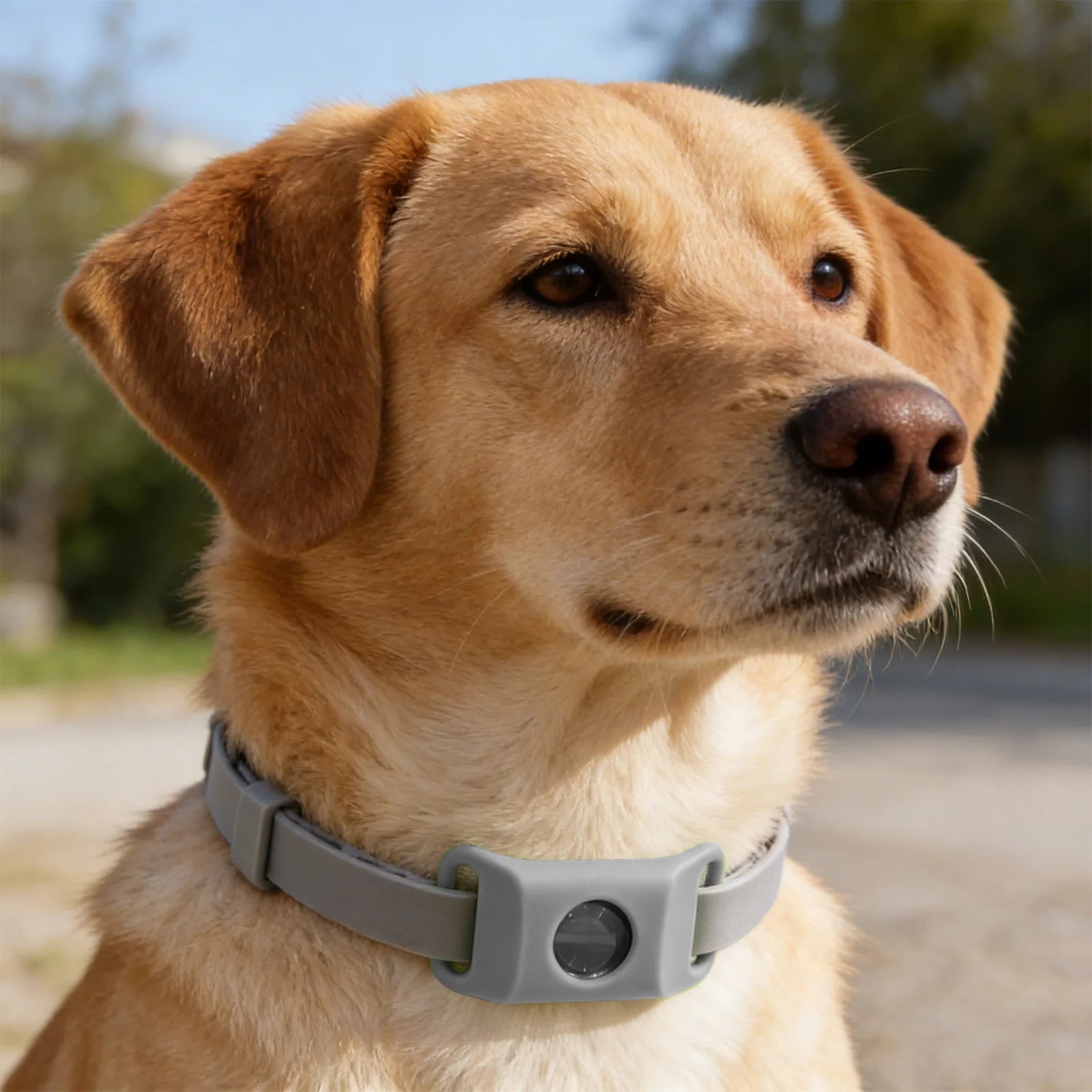 Přívěsek proti blechám a klíšťatům pro psy