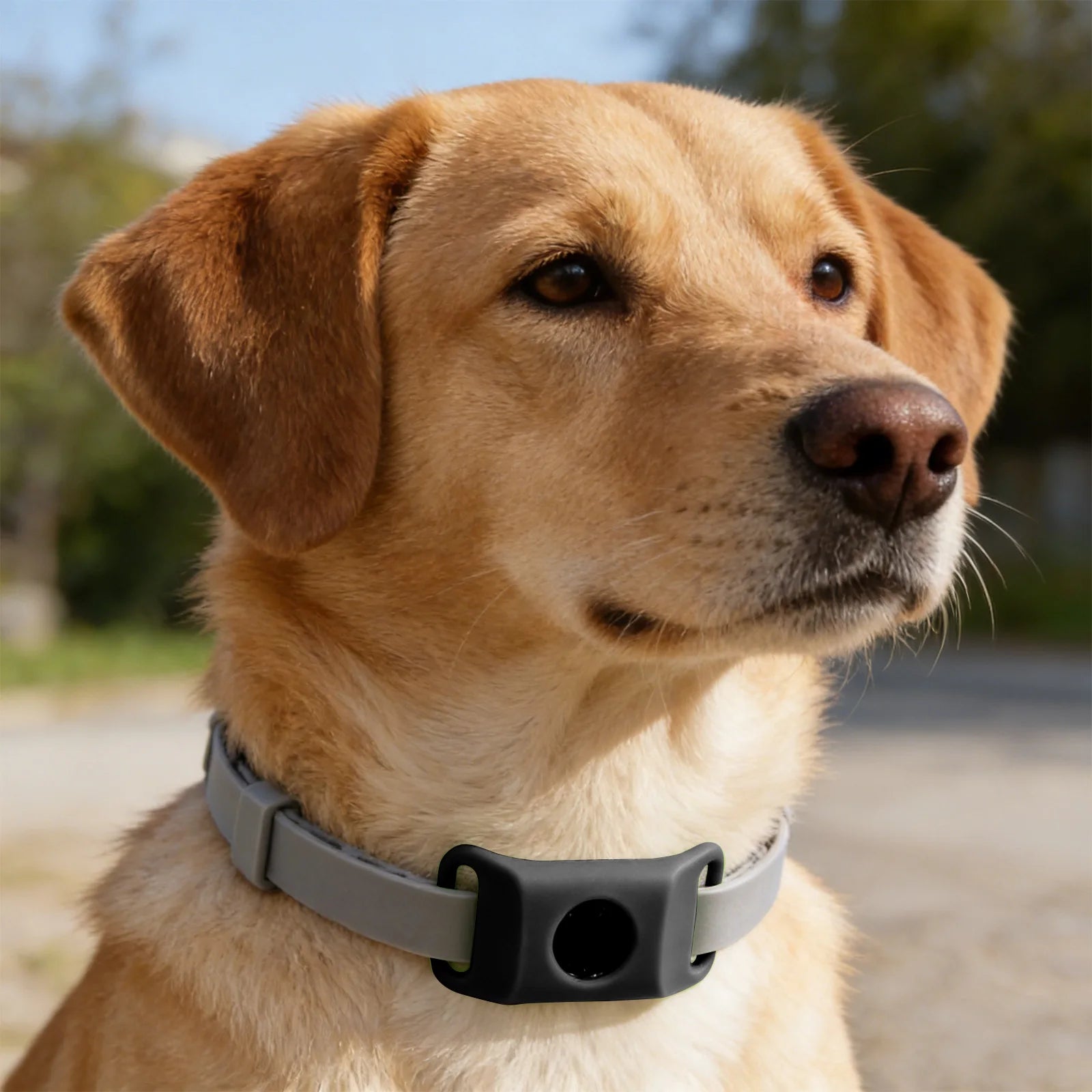 Přívěsek proti blechám a klíšťatům pro psy