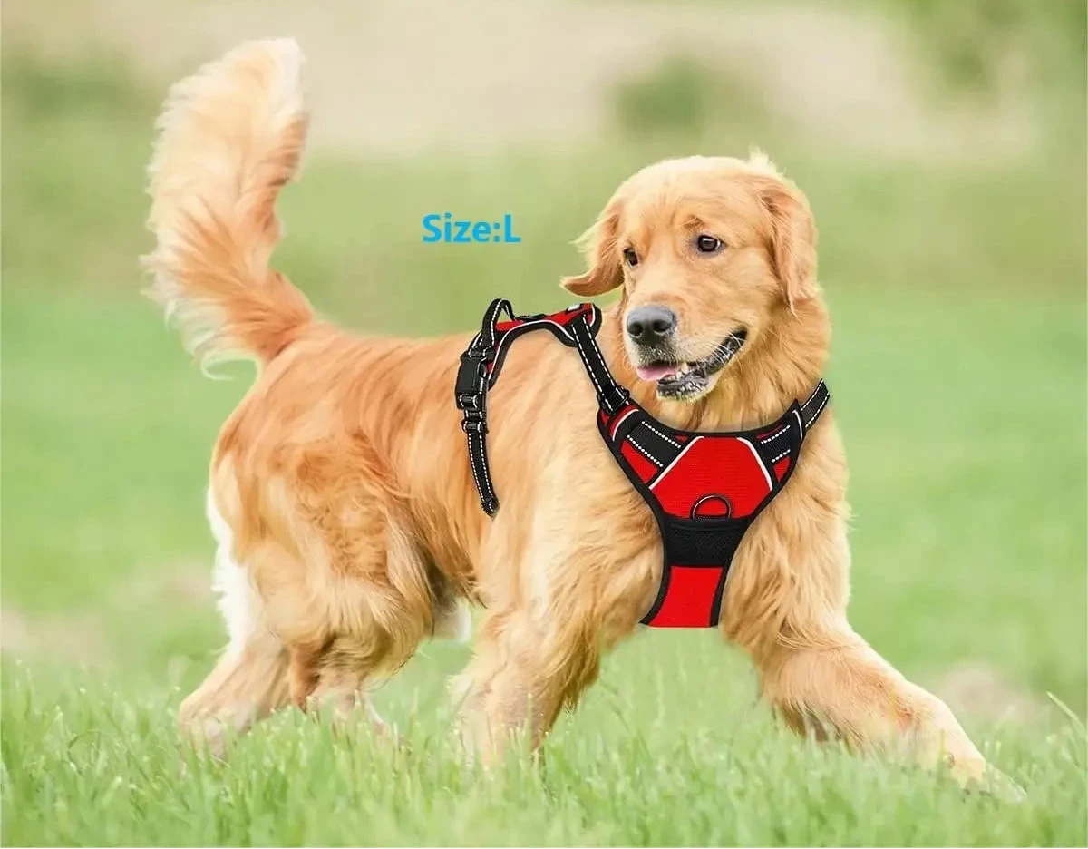 Postroj pro psy – vestový typ, velikosti S–XL