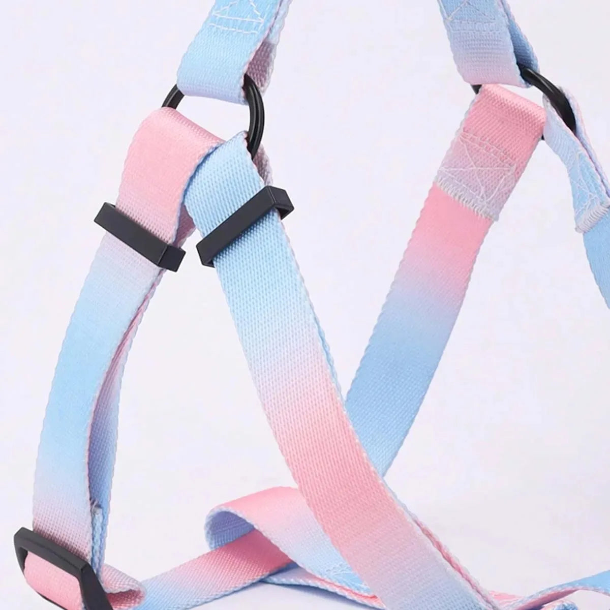 Chest for Dog Harness for Dogs Small Dog Leash Pet Supplies Puppy Accessories Collars Harnesses Leashes Pets Collar