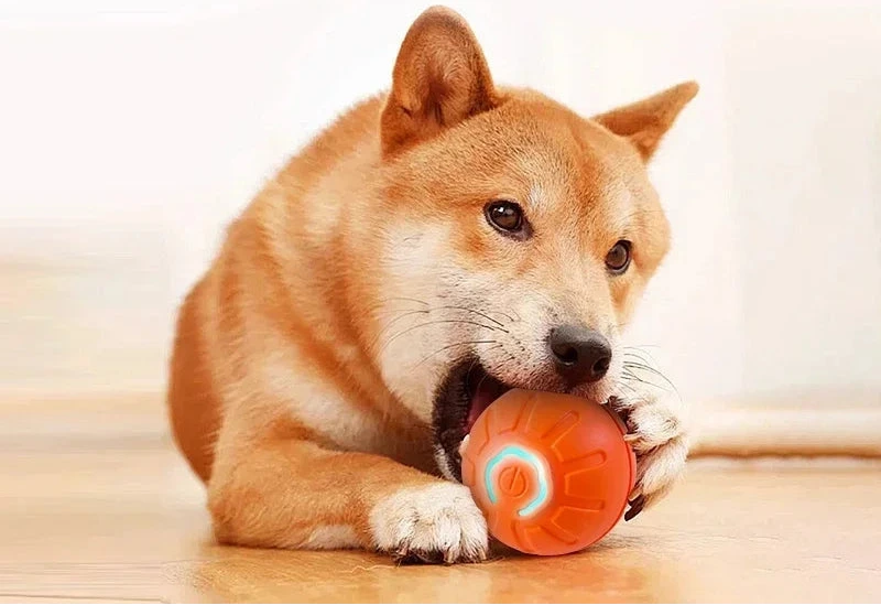 Jen tak se nerozkouše