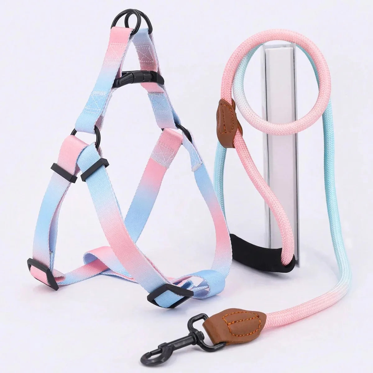 Chest for Dog Harness for Dogs Small Dog Leash Pet Supplies Puppy Accessories Collars Harnesses Leashes Pets Collar