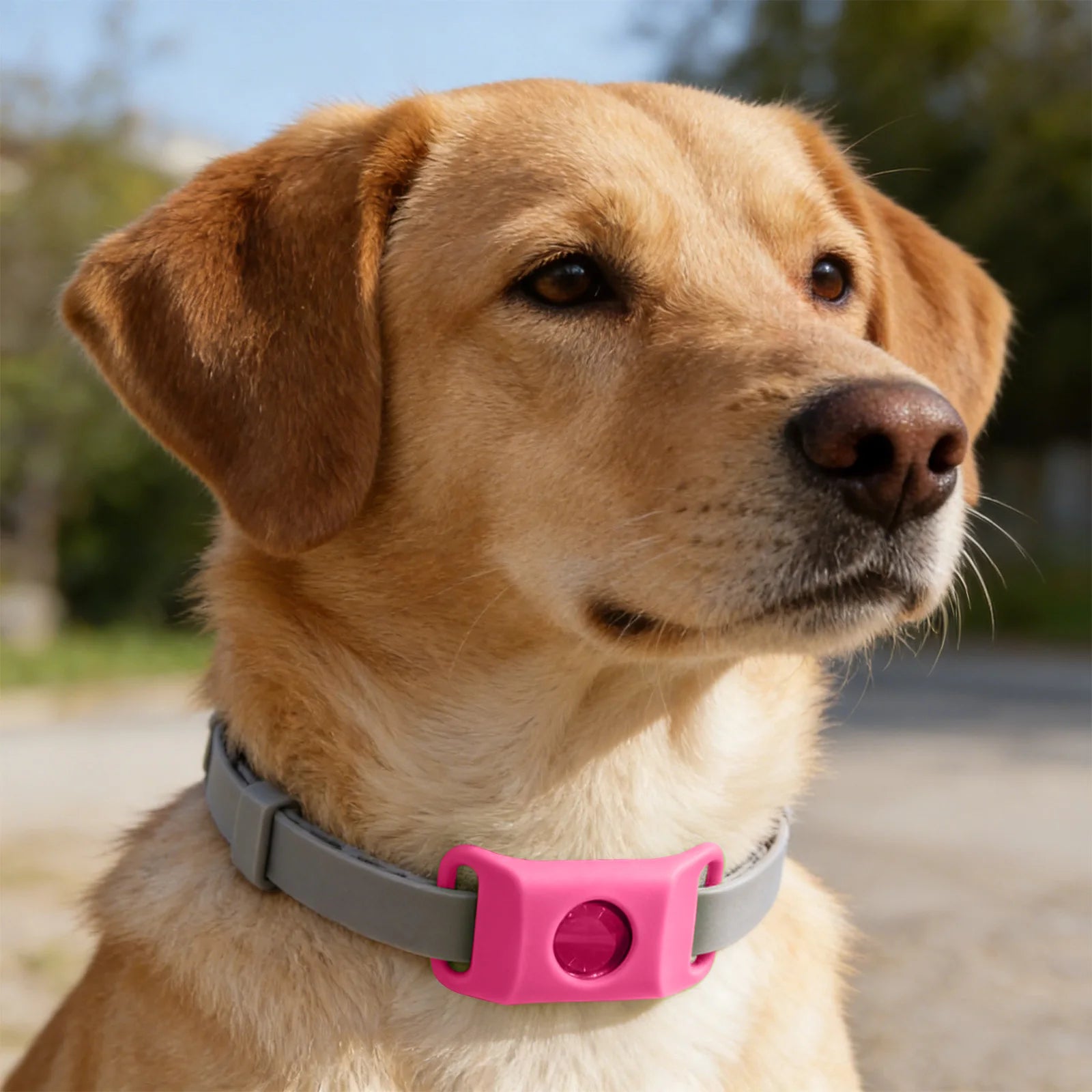 Přívěsek proti blechám a klíšťatům pro psy