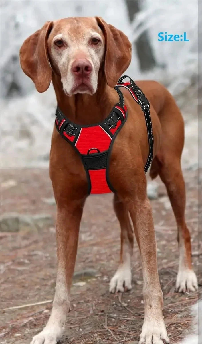 Postroj pro psy – vestový typ, velikosti S–XL