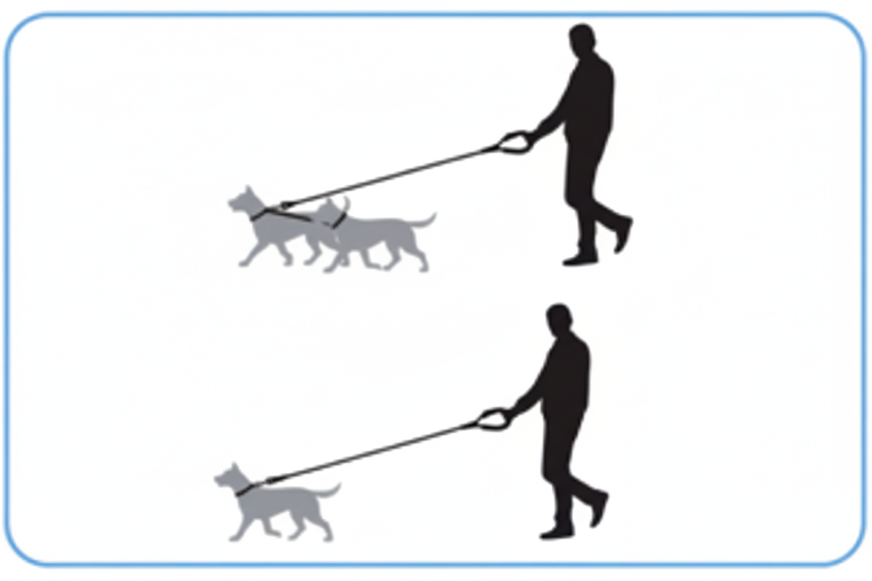 Dvojité vodítko bez textu